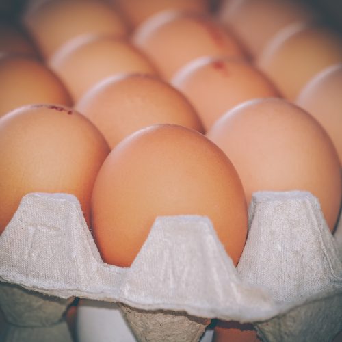 Eggs 4059957 1920